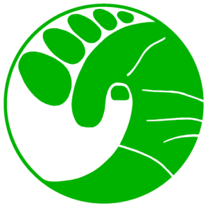 cropped-Untitled3_20220602143005.png